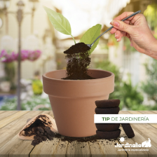 Imagen tip promocional de Jardinalia