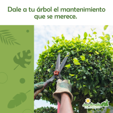 Imagen promocional para Jardinalia